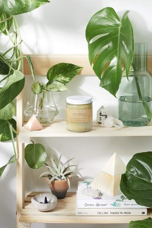 Sensitive Skin Cream with Black Seed Oil and Argan - Image 3