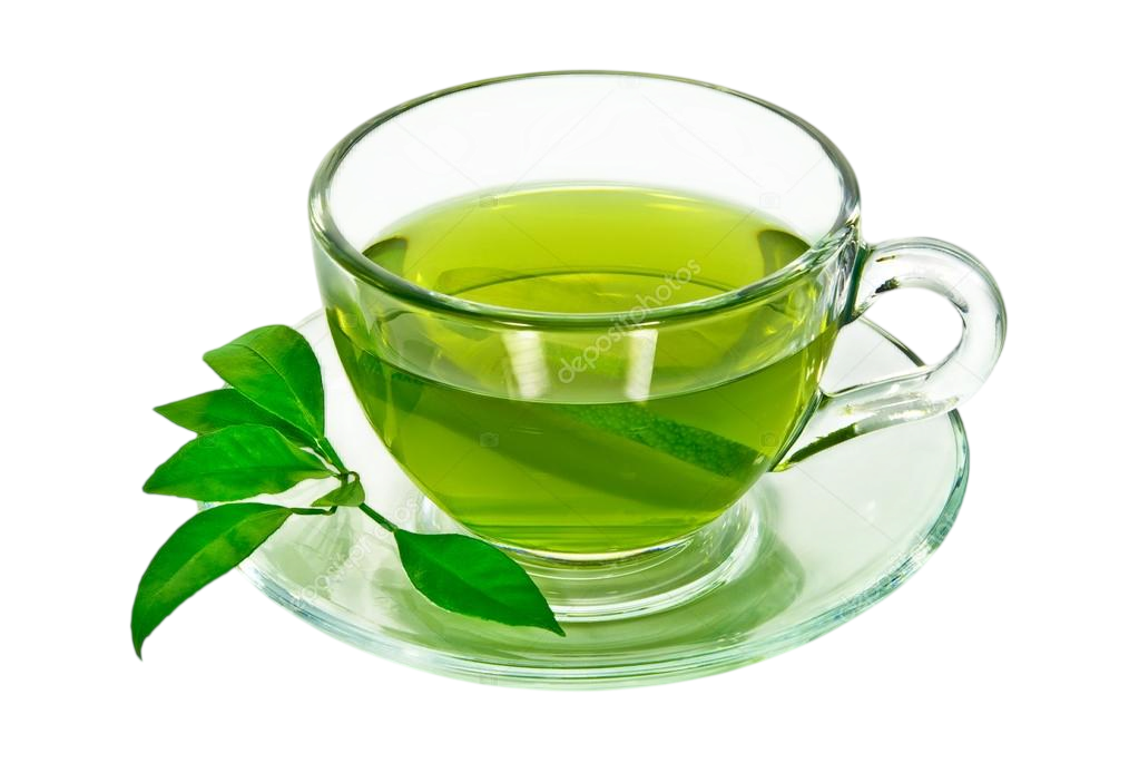 VestroGro | Everyday Products at Great Prices